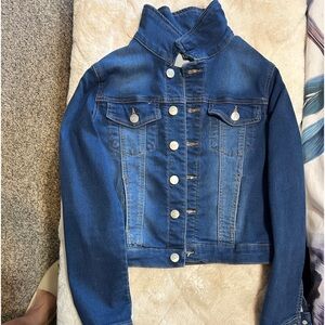 Buffalo David Bitton